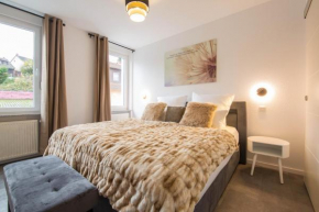 Luxury Saarbrücken 4